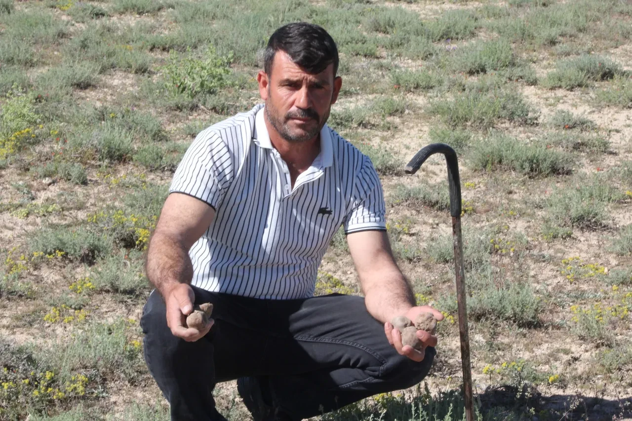 Toprağın altından servet çıkardı! Günde 40 kilo topluyor, parasıyla ev, araba ve arsa aldı