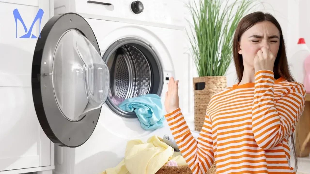 Çamaşırlar neden güzel kokmaz? Meğer sebebi buymuş