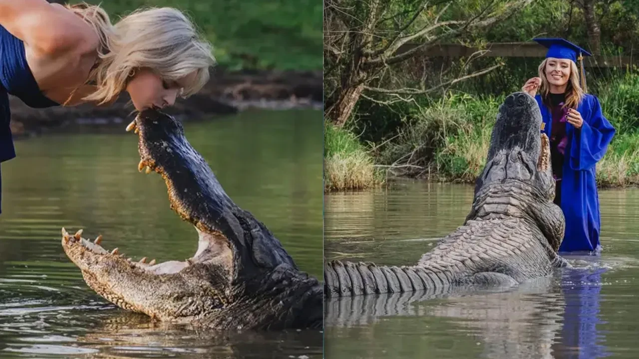 Genç kızın timsahlı mezuniyet fotoğrafları sosyal medyayı salladı! İşte görenleri şoke eden anların hikayesi