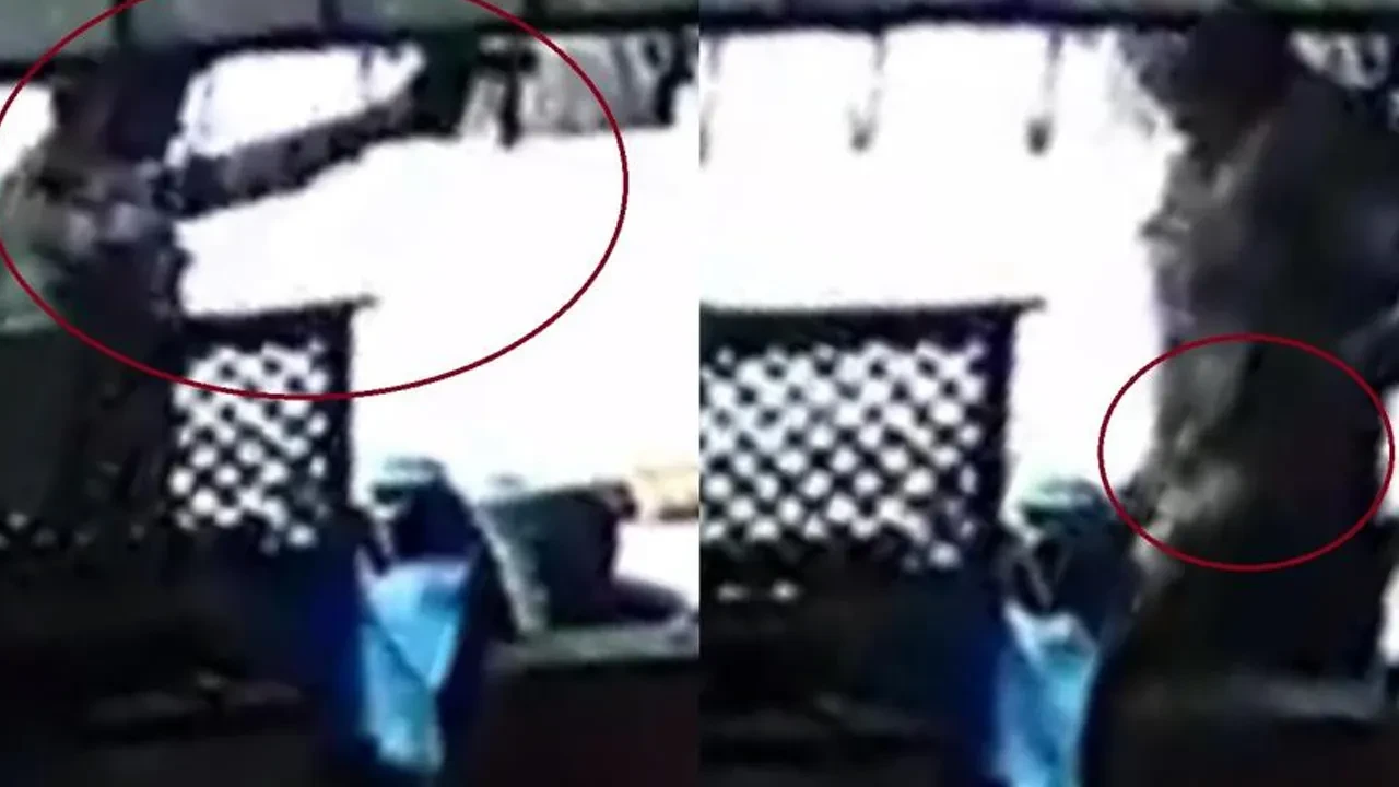 Mersin'deki katliamda yeni görüntüler ortaya çıktı! 