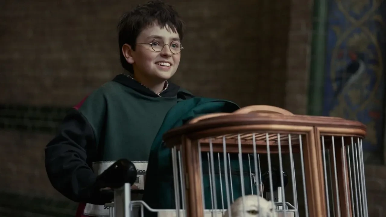 Harry Potter dizisinde şoke eden gelişme! Projenin kritik karakterine erken veda