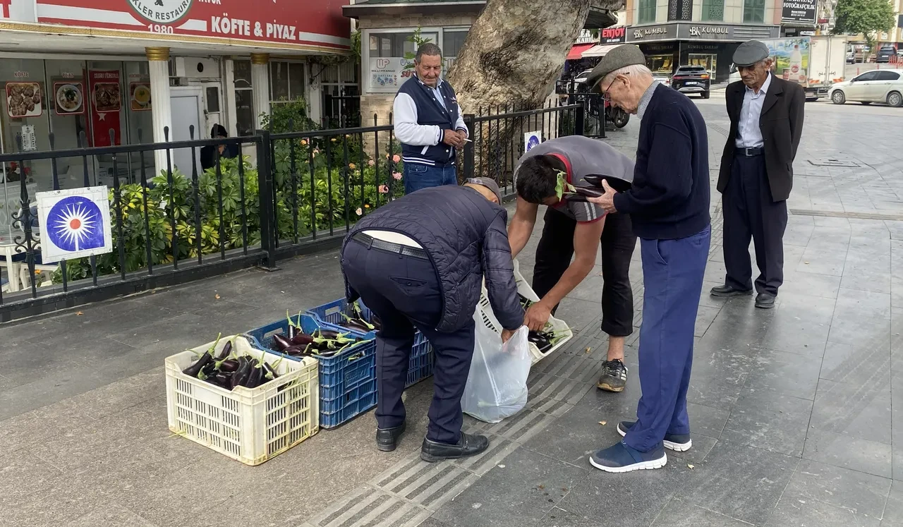 Bedava patlıcan kuyruğu! İsraf olmasın diye serasını vatandaşa açtı