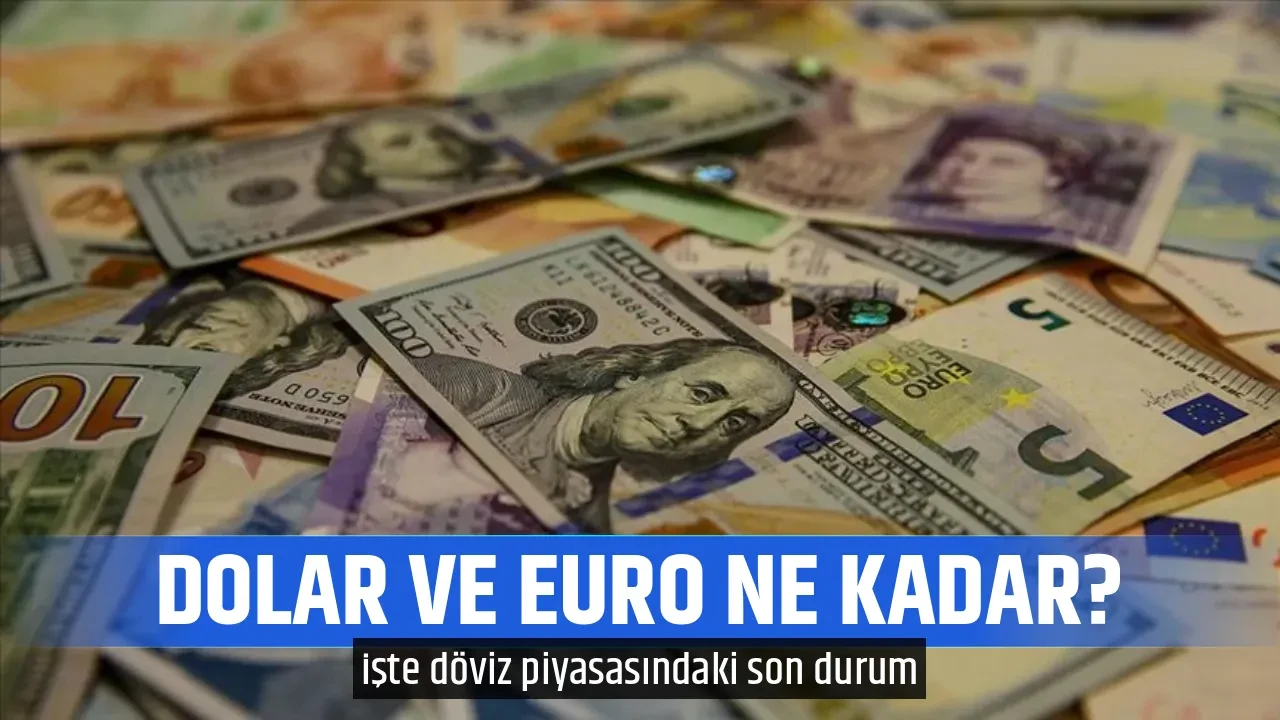 DOLAR VE EURO NE KADAR?