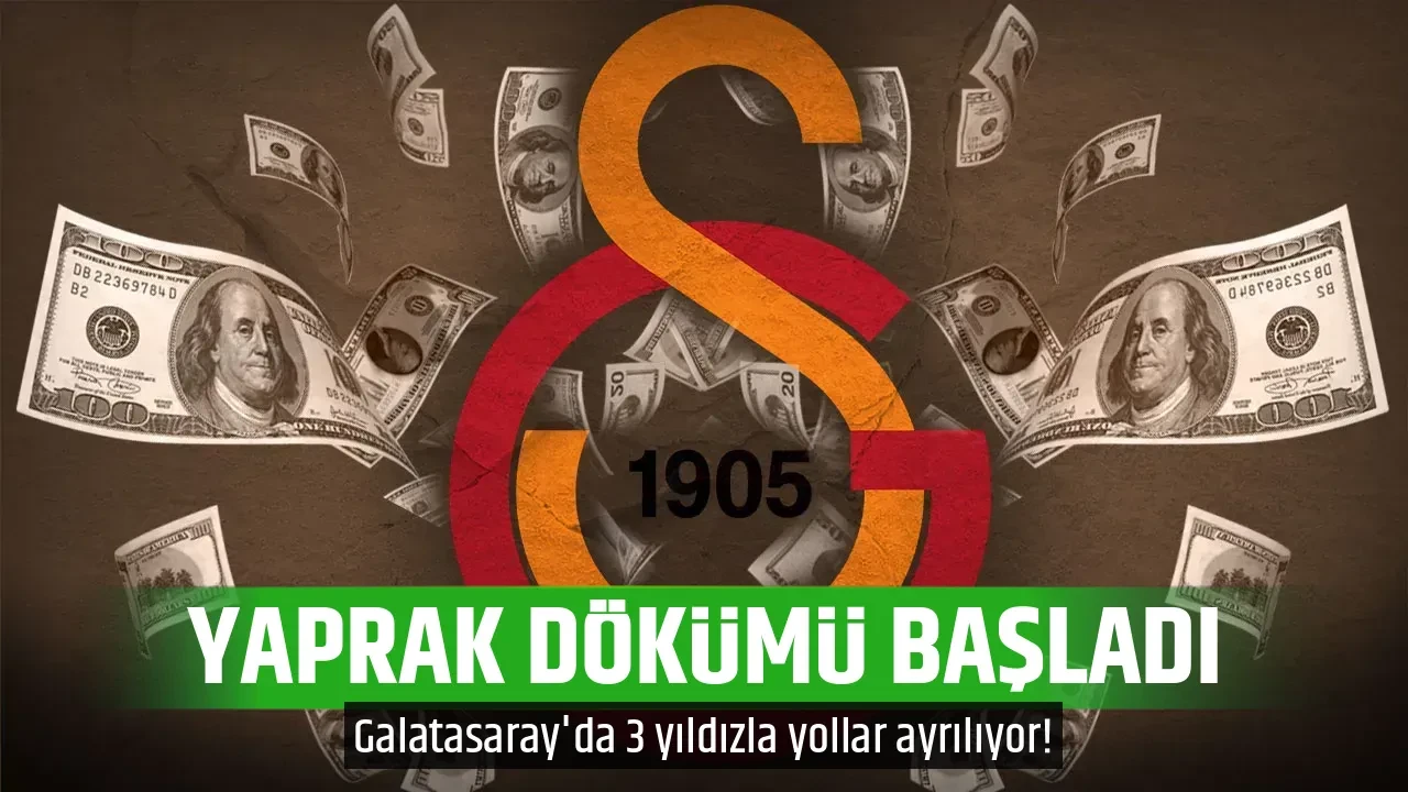 YAPRAK DÖKÜMÜ BAŞLADI