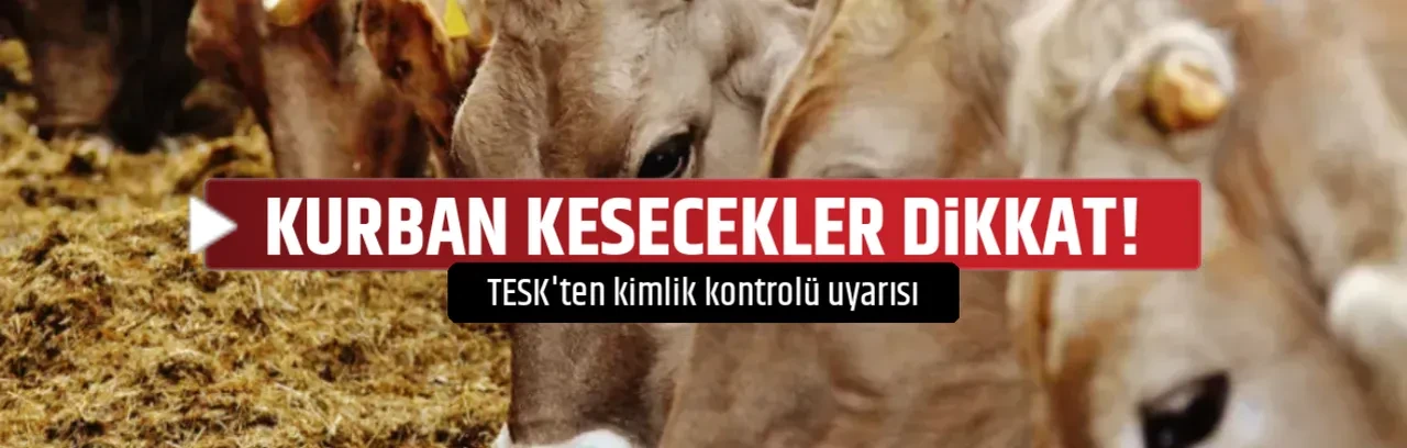 KURBAN KESECEKLER DİKKAT!