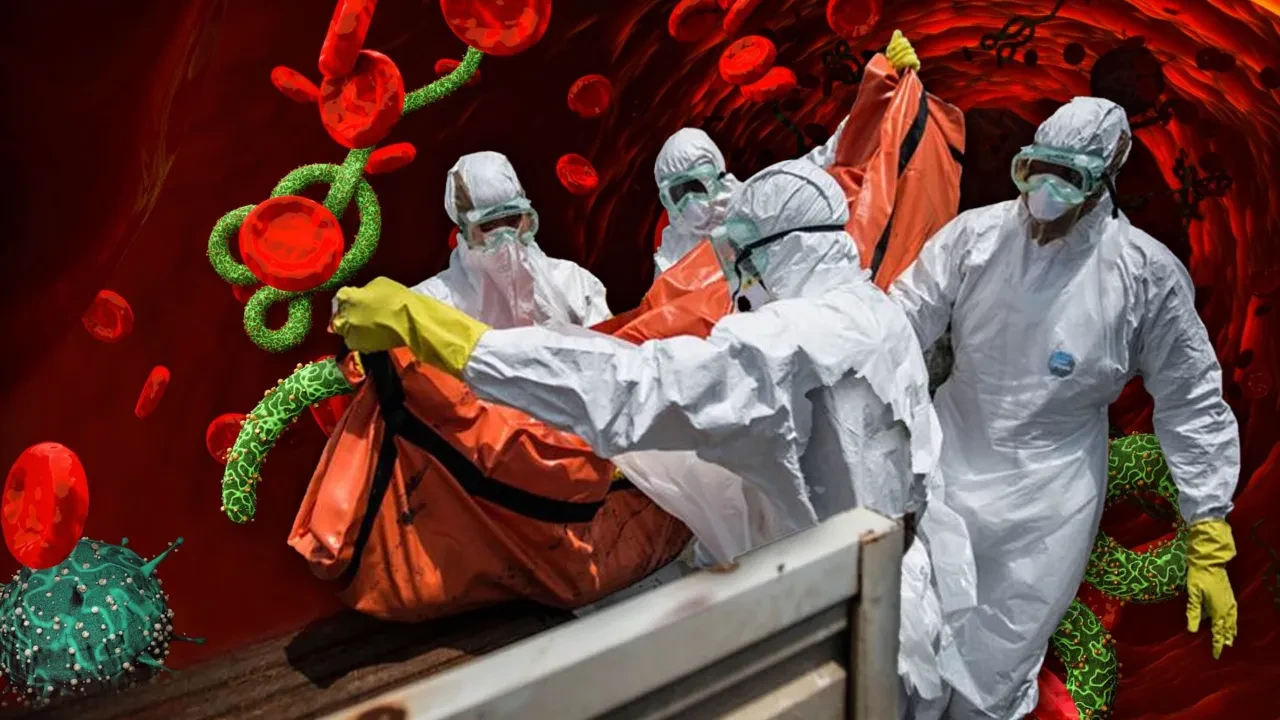 Ebola virüsünü atlatan doktordan karamsar tablo: Vakalar daha da artabilir, salgın yayılabilir!