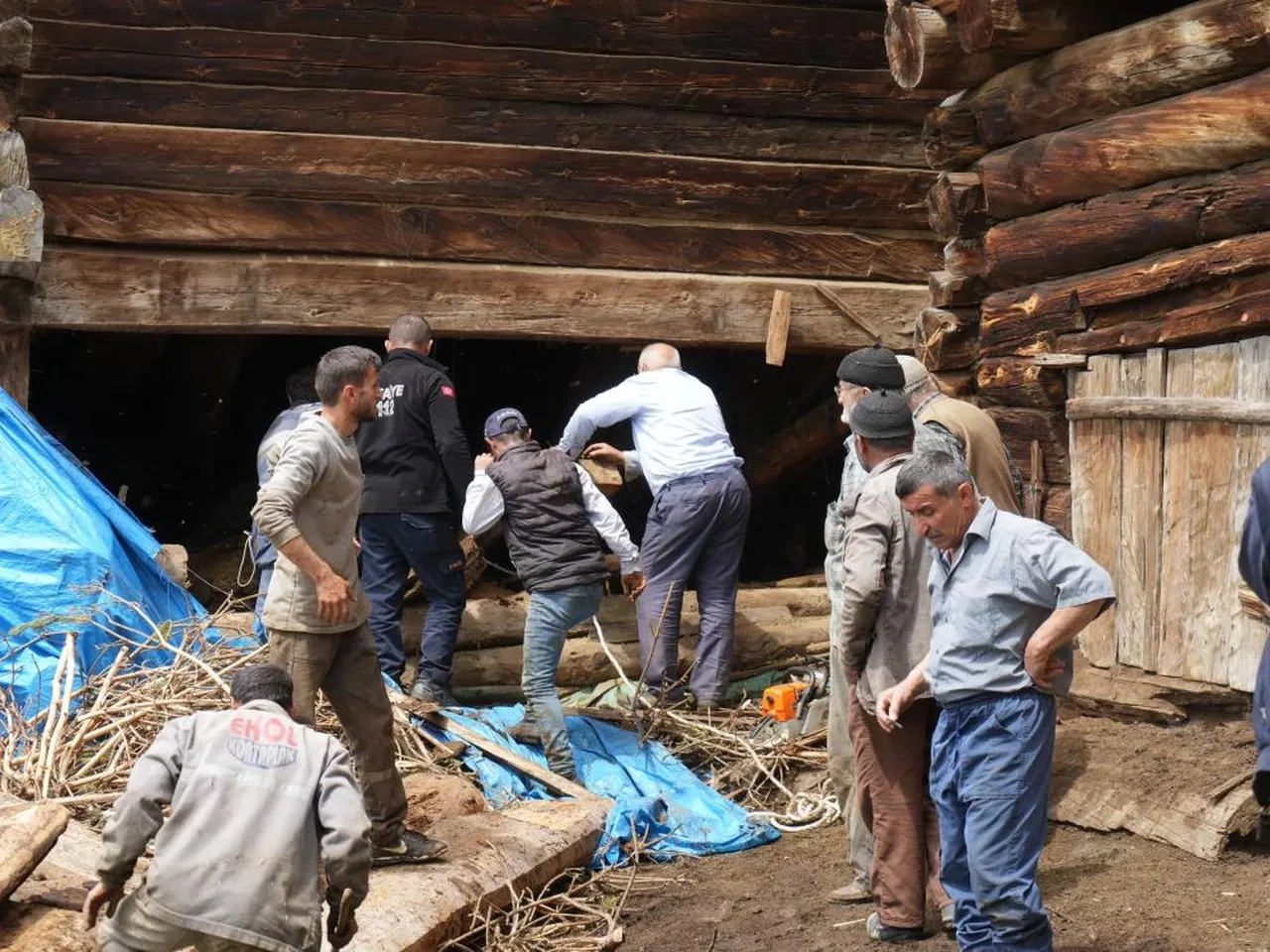 Kastamonu'da ahır göçtü! 1 kadın hayatını kaybetti, 94 hayvan telef oldu