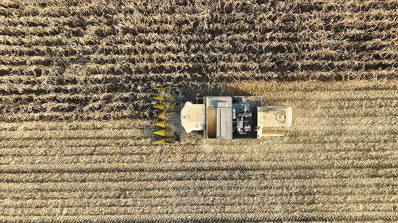 TÜİK yeni rakamları açıkladı! Tarımsal girdi fiyat endeksinde artış 