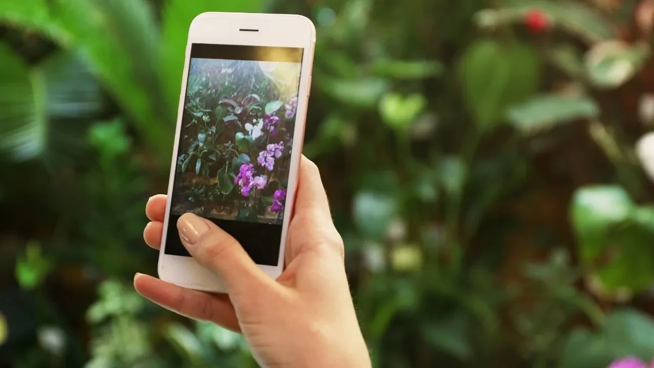 Telefon kamerasını daha net yapan küçük ayar! Her marka için geçerli