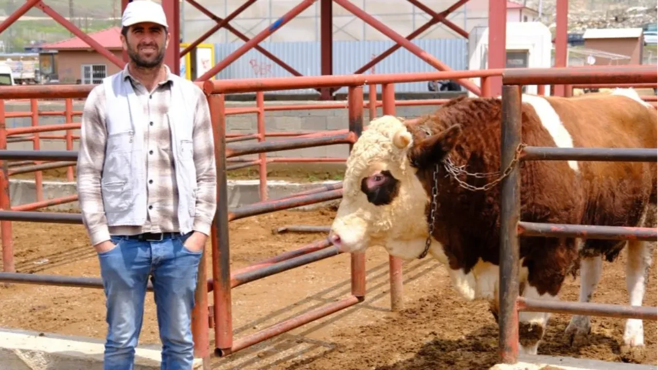 Van'da Kurban Bayramı hareketliliği! Son fiyatlar belli oldu