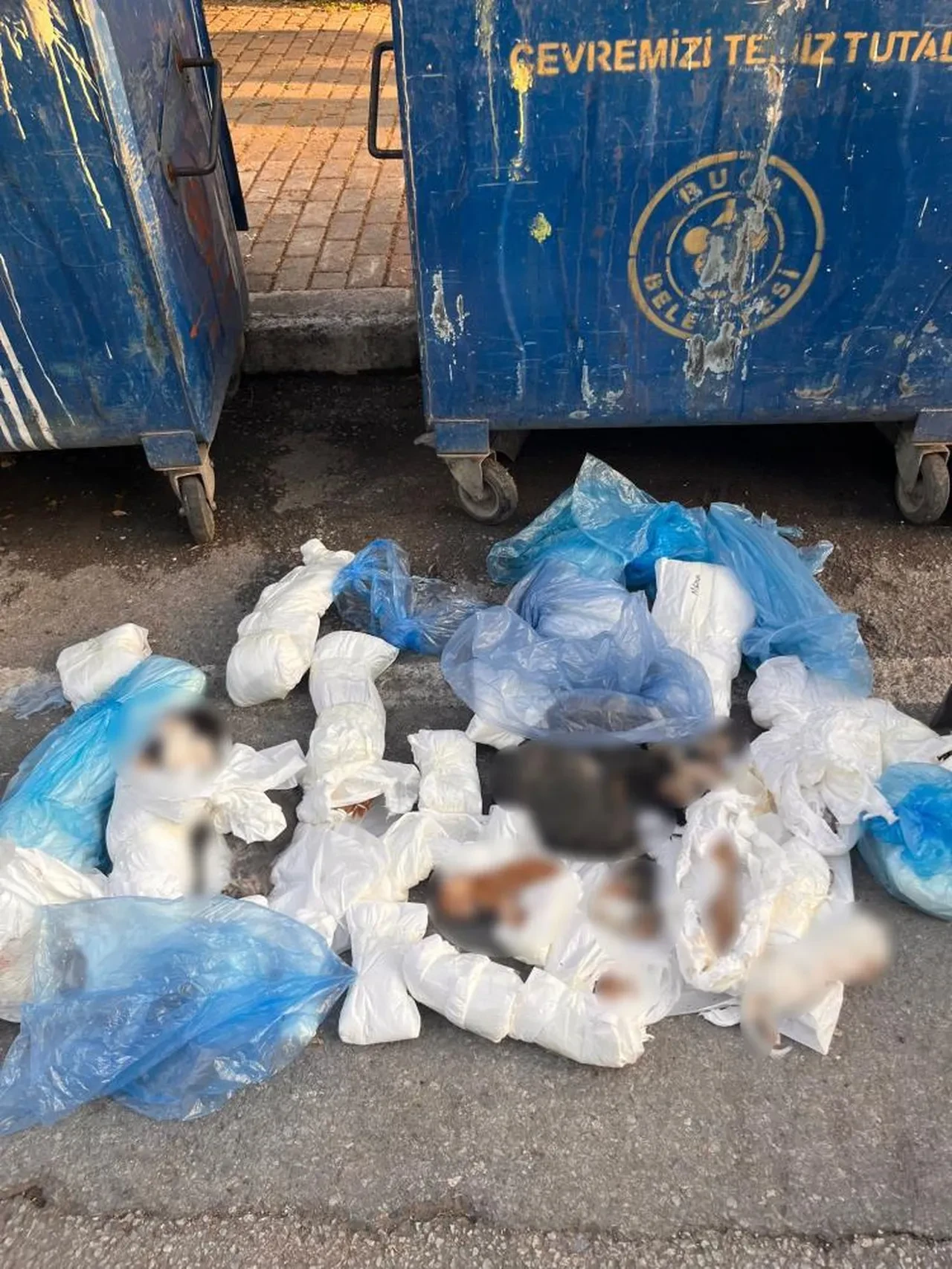 Bunu yapan insan olamaz! Hepsini tek tek poşetlemiş...