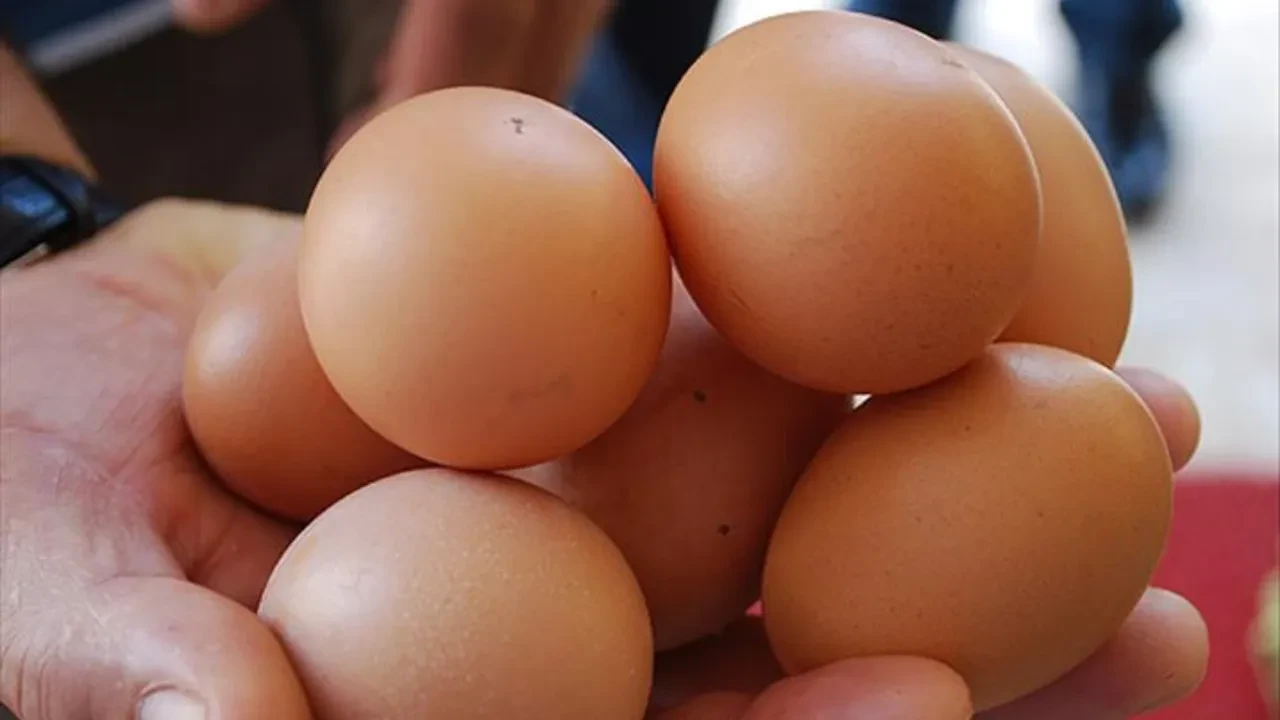 Buzdolabı üreticileri bile bizi yıllarca kandırmış! Yumurtayı kapaktaki rafa koyanlar kendi eliyle zehir üretiyor