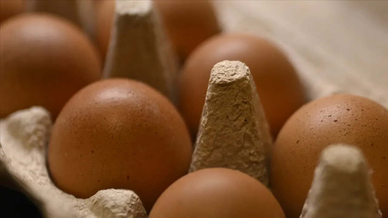 Buzdolabı üreticileri bile bizi yıllarca kandırmış! Yumurtayı kapaktaki rafa koyanlar kendi eliyle zehir üretiyor