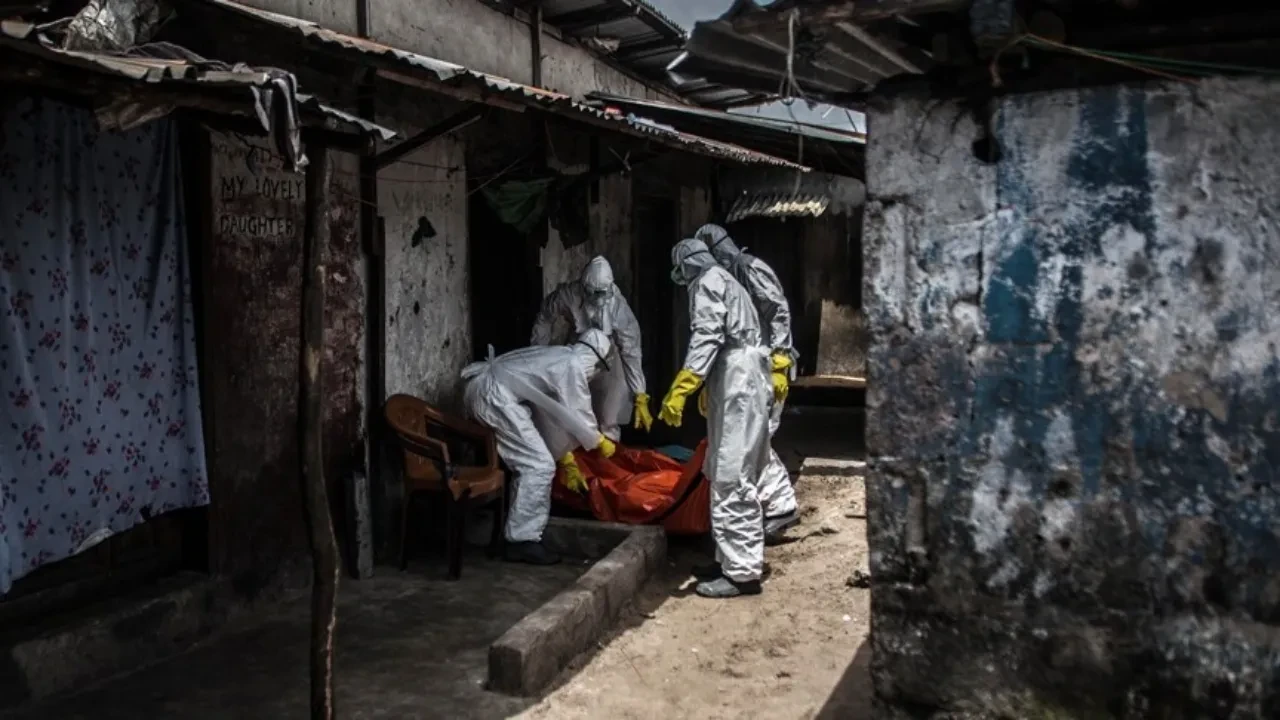 DSÖ Ebola salgınının risk düzeylerini açıkladı