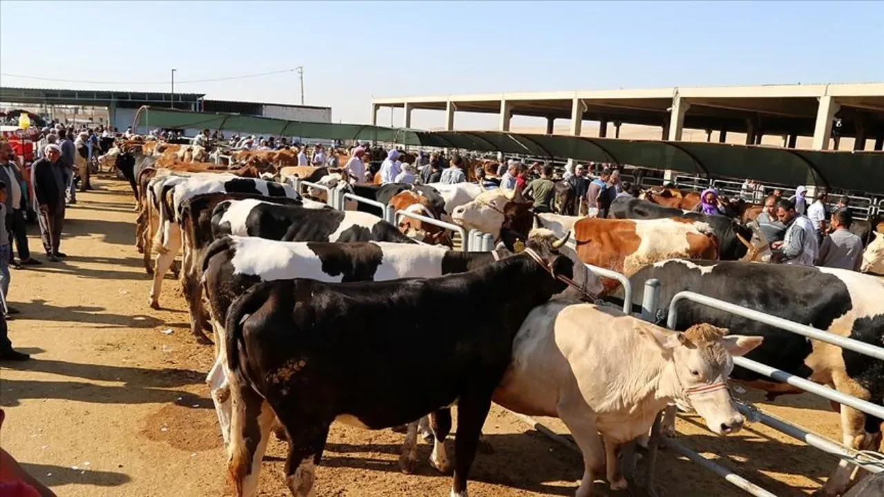 Kurban kesecekler dikkat! Kurban parasından fazla ceza ödeyebilirsiniz