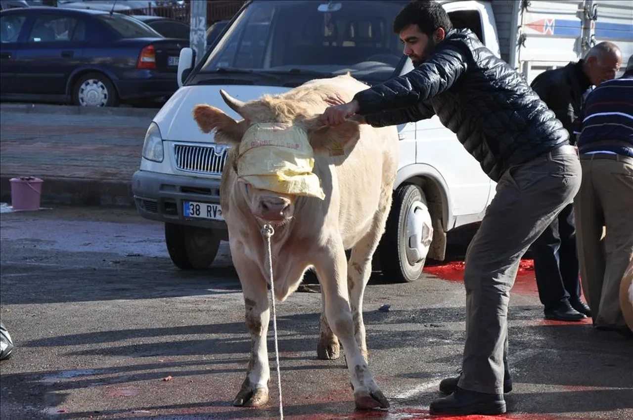 Kurban kesecekler dikkat! Kurban parasından fazla ceza ödeyebilirsiniz