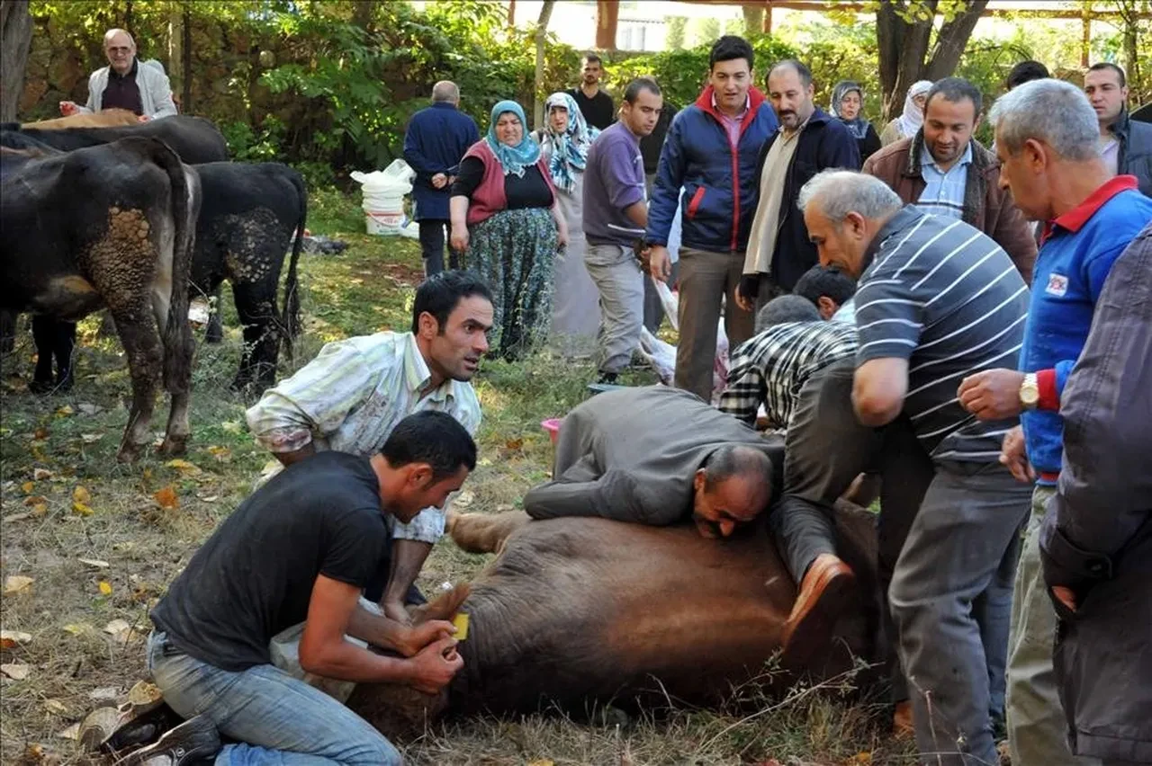Kurban kesecekler dikkat! Kurban parasından fazla ceza ödeyebilirsiniz