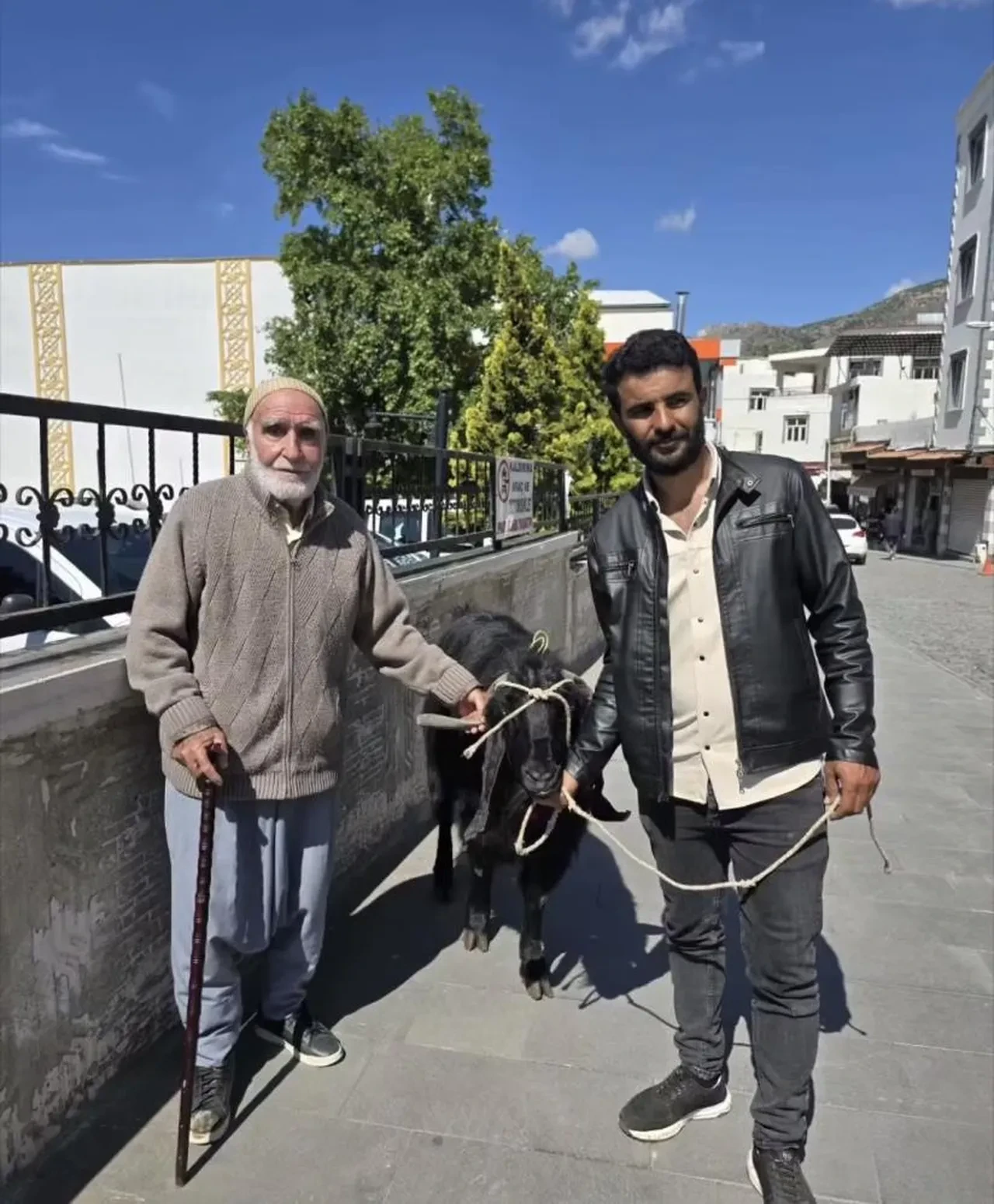 70 kiloluk dev keçi görenleri şaşırttı! Fiyatı belli oldu