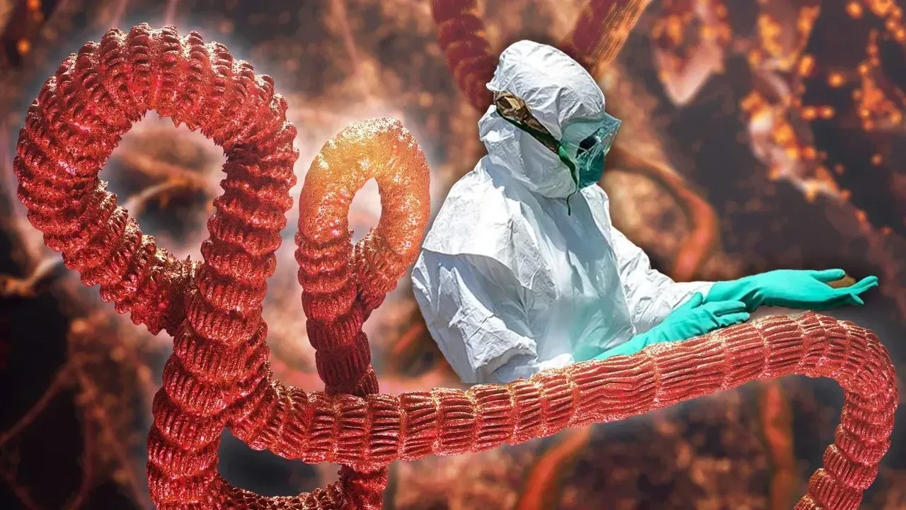 Bir ülke daha ebola virüsü nedeniyle alarm durumuna geçti!