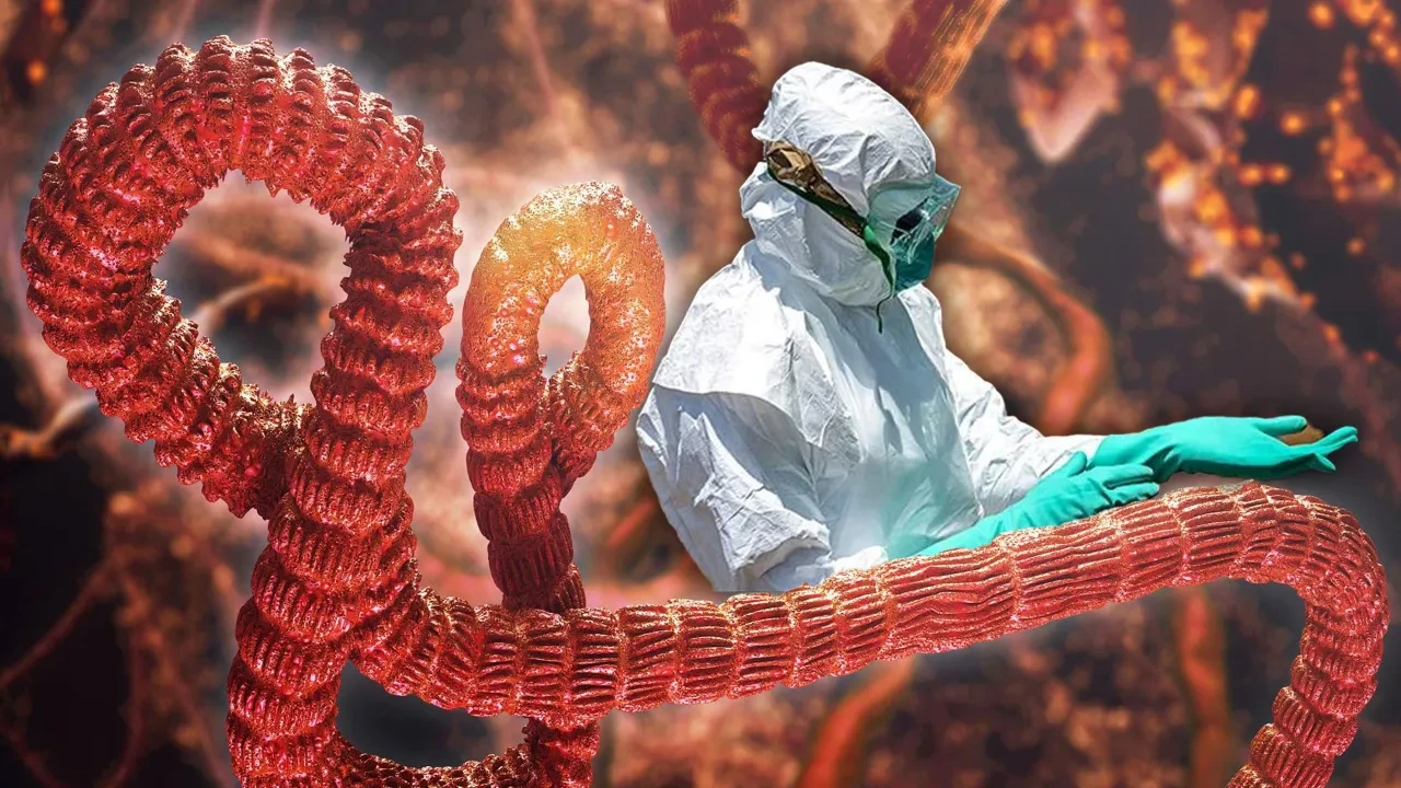 Ebola salgını kontrolden çıktı! İnsanları sadece virüs öldürmüyor, yayılan bilgiler de bir parçası