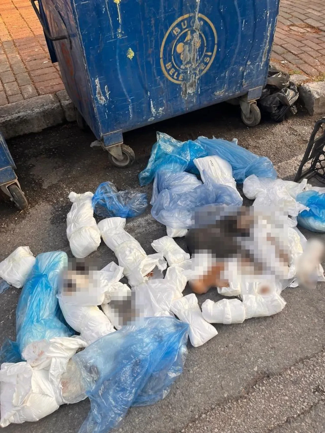 İzmir'de 33 ölü kedinin bulunduğu vahşette yeni perde: Serbest bırakılan veteriner hekim yeniden gözaltına alındı