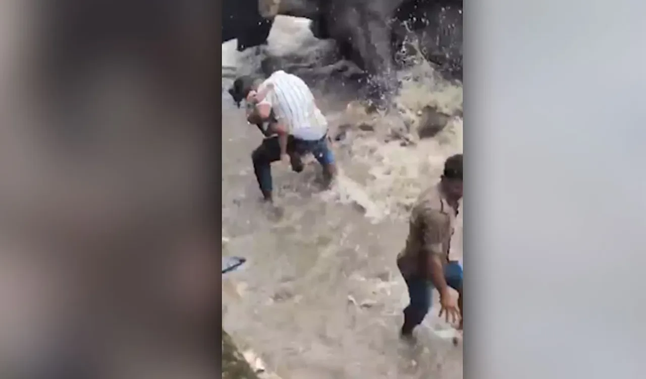 Kızını kurtardı ama eşi için zamanı kalmadı! Fil kampında hayvan dehşeti
