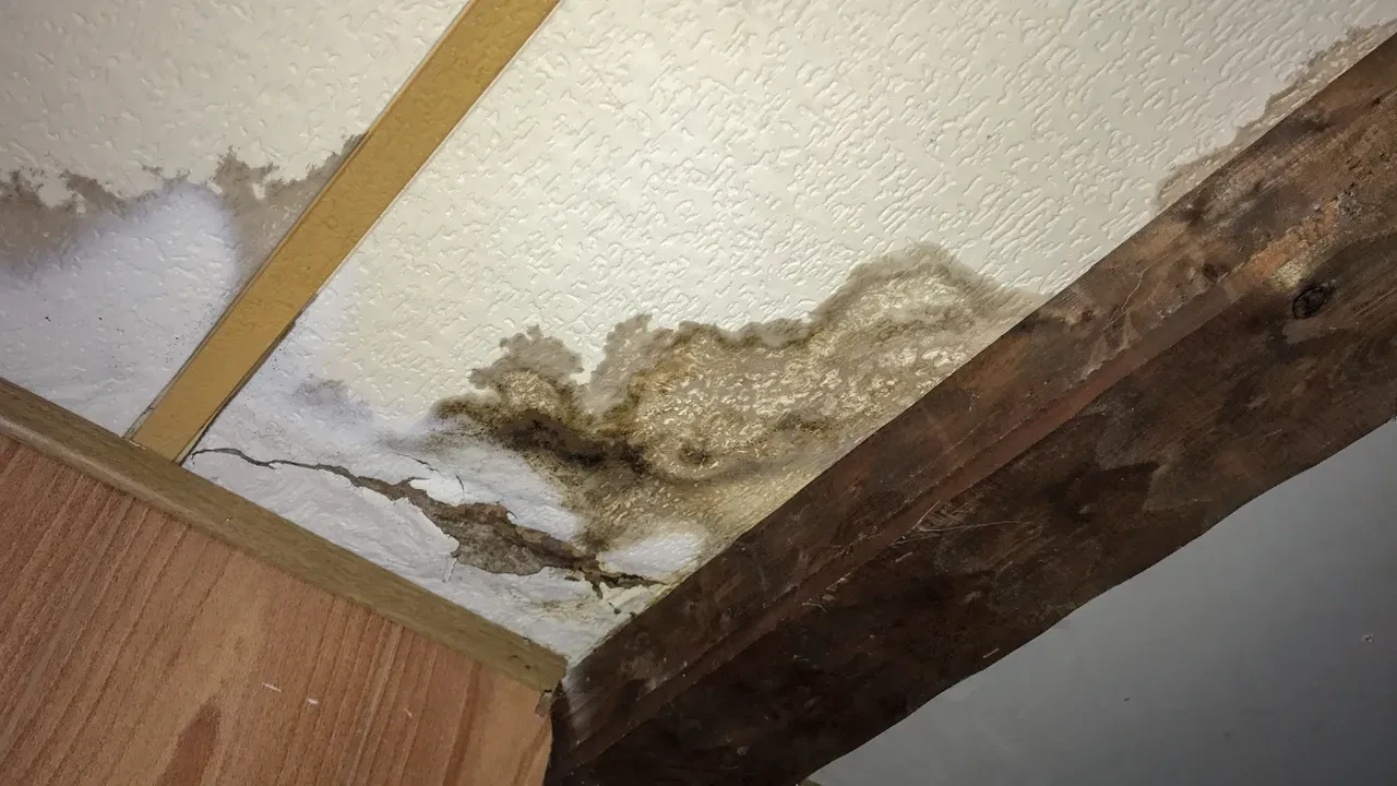 Milyonlarca kiracıyı ilgilendiriyor: Ev sahiplerinin o talebi artık geçersiz olabilir! Yargıtay son noktayı koydu!