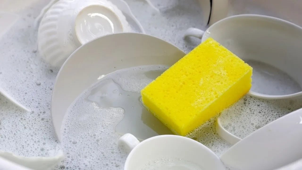 Mutfak süngeri ne sıklıkla değişmeli? Evde mikropların yerleştiği yerler