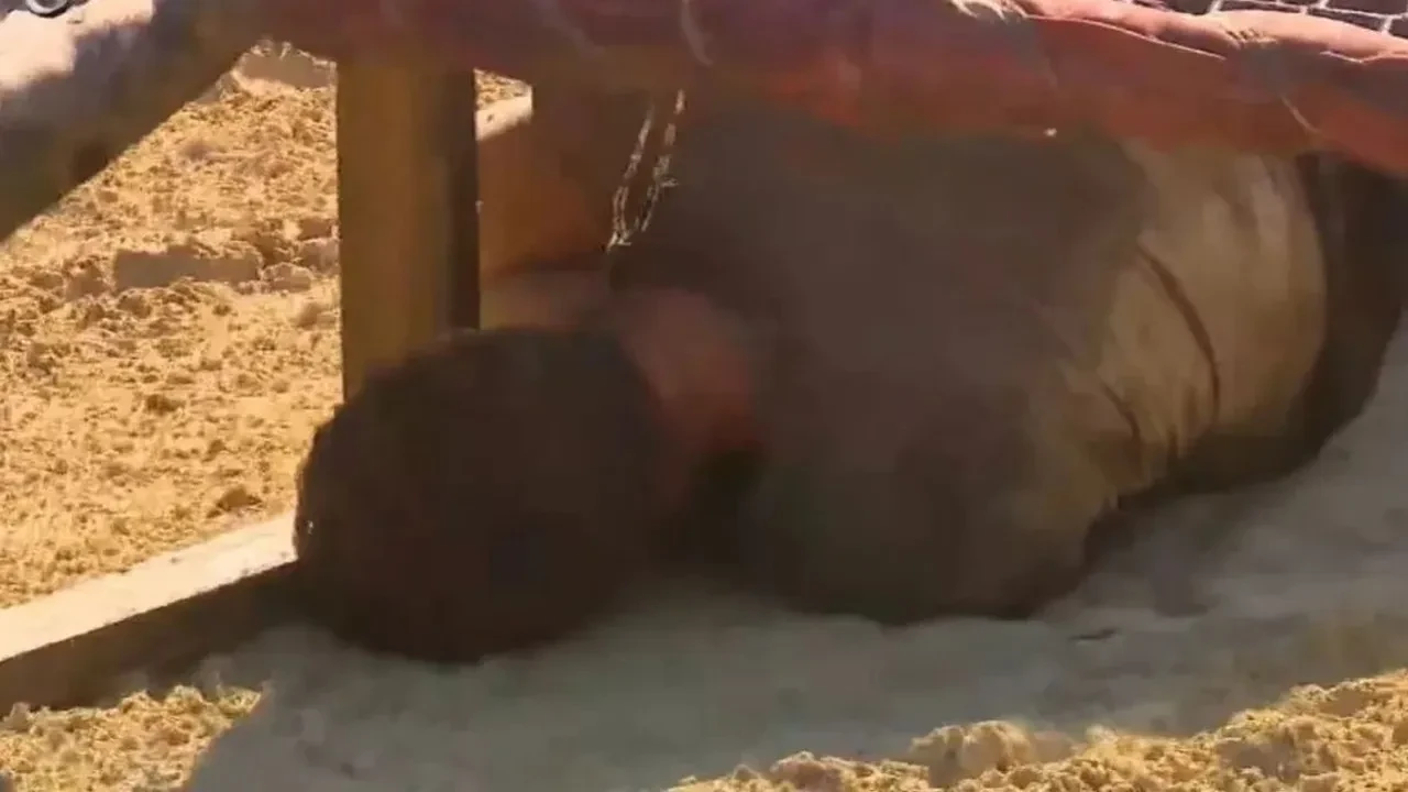 Survivor 2026’ya sakatlık nedeniyle veda eden Barış Murat Yağcı’dan ilk açıklama! “Süreç zor ama iyi olacağım”