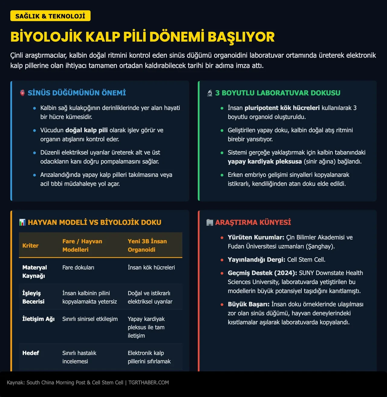 İnsan kök hücresinden doğal kalp pili üretildi! Vücuda cihaz yerleştirmeye son