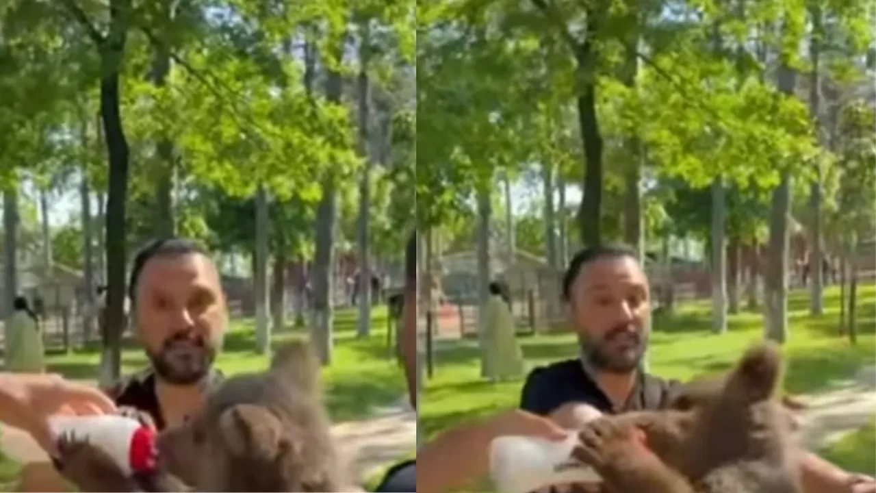 Şarkıcı Alişan'ın hayvanat bahçesindeki panik halleri! Ne yapacağını bilemedi