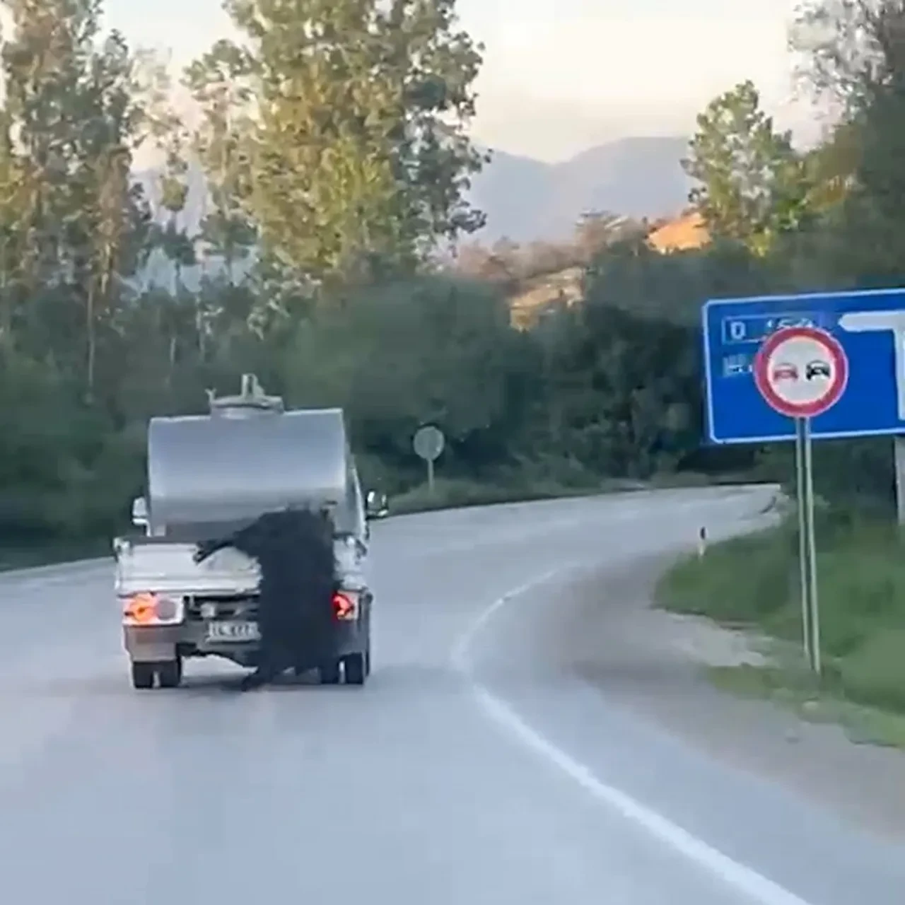 Bolu’da vicdanları sızlatan görüntü: Kurbanlık hayvanı aracının arkasına bağlayıp kilometrelerce sürükledi!