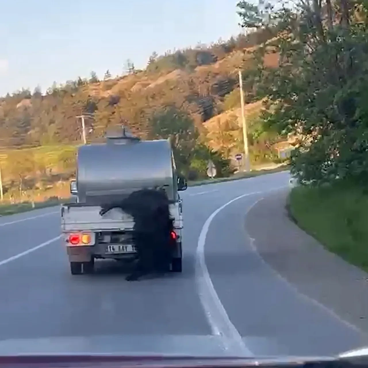 Bolu’da vicdanları sızlatan görüntü: Kurbanlık hayvanı aracının arkasına bağlayıp kilometrelerce sürükledi!