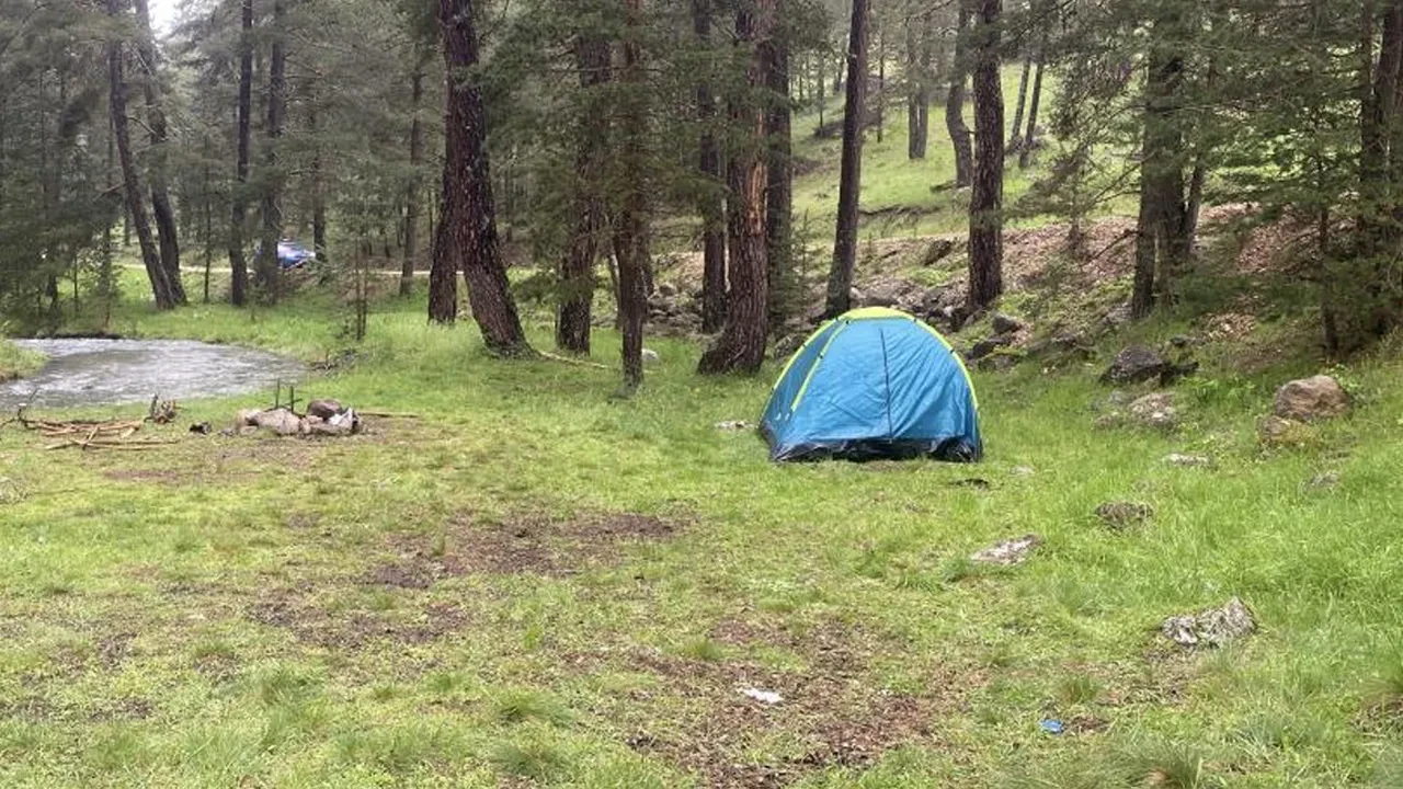 Bolu'da piknik yapanların üzerine yıldırım düştü: 3 yaralı