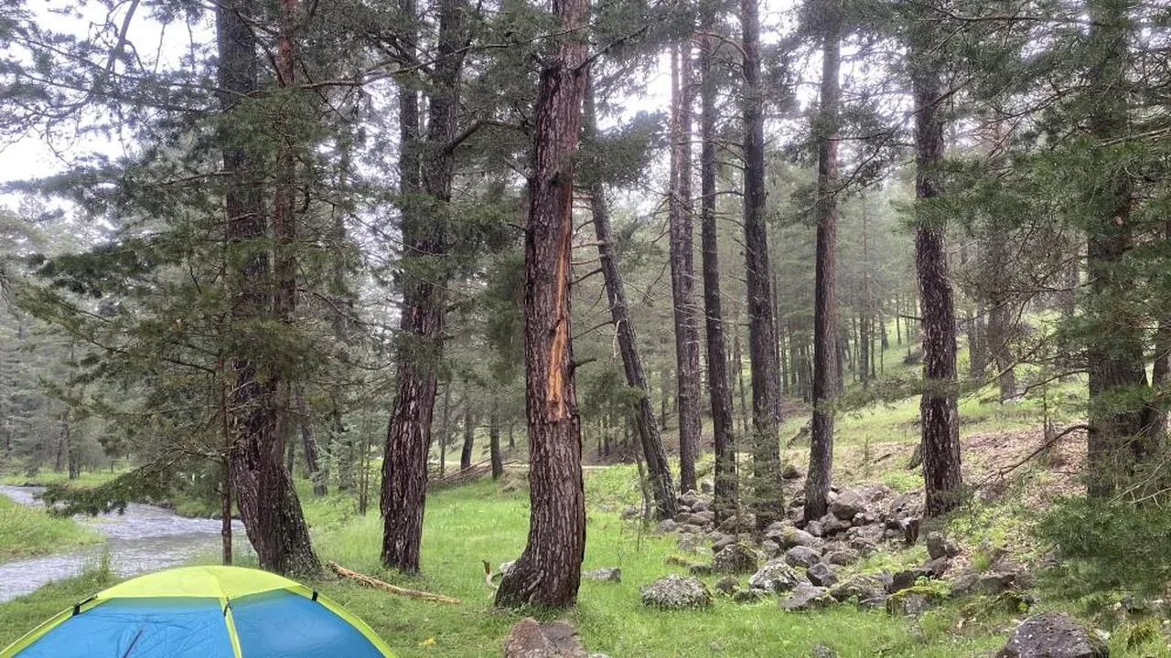 Bolu'da piknik yapanların üzerine yıldırım düştü: 3 yaralı
