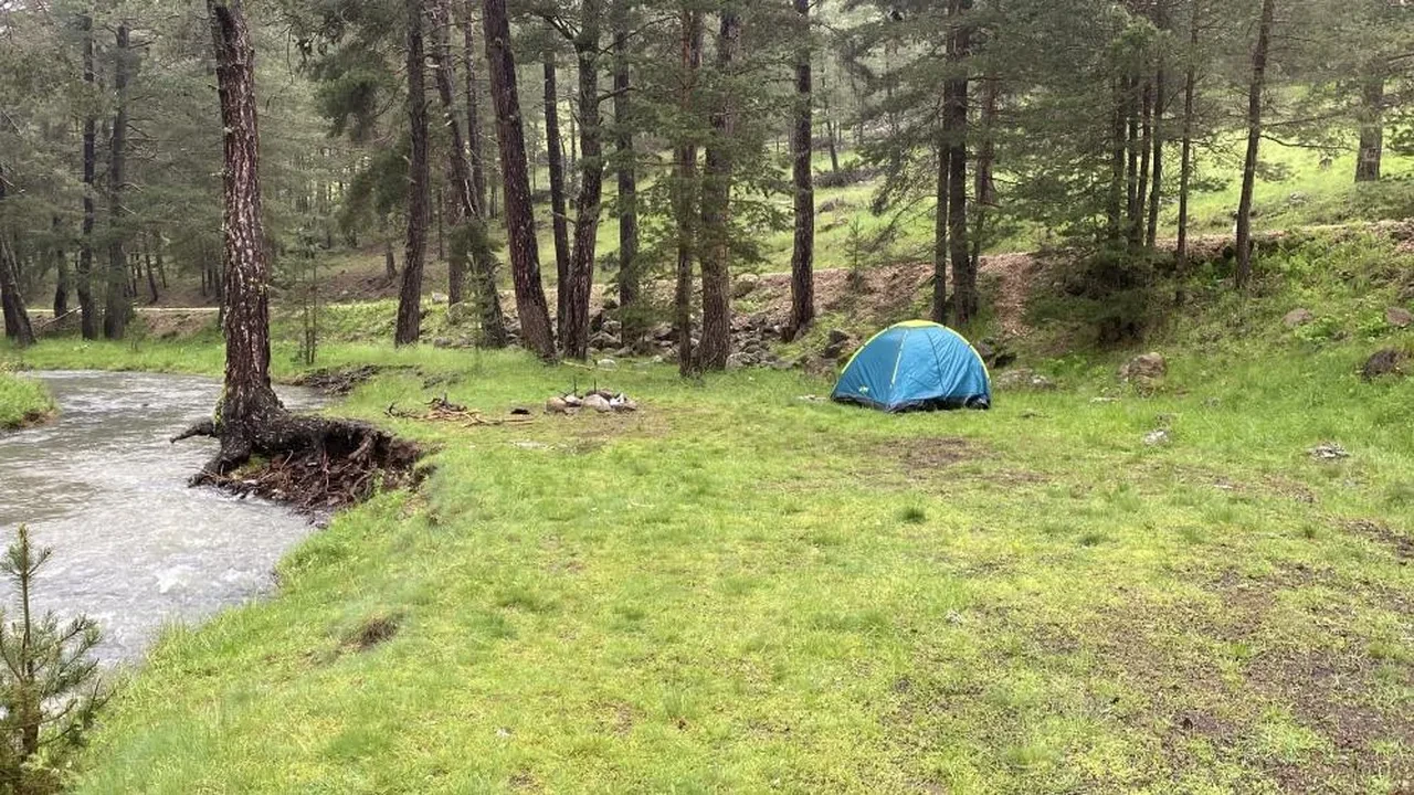 Bolu'da piknik yapanların üzerine yıldırım düştü: 3 yaralı