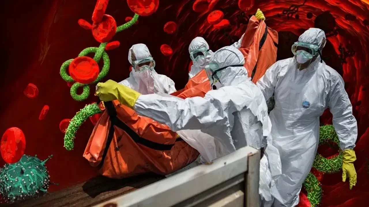 Ebola virüsü Avrupa'ya yayılıyor: Önce İtalya şimdi de Avusturya