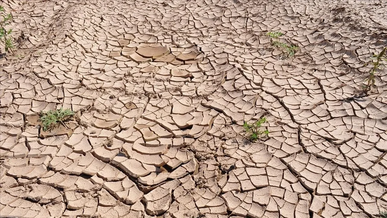 El Nino etkisiyle yeni sıcaklık rekoru kırılabilir: Bilim insanları tarih verdi