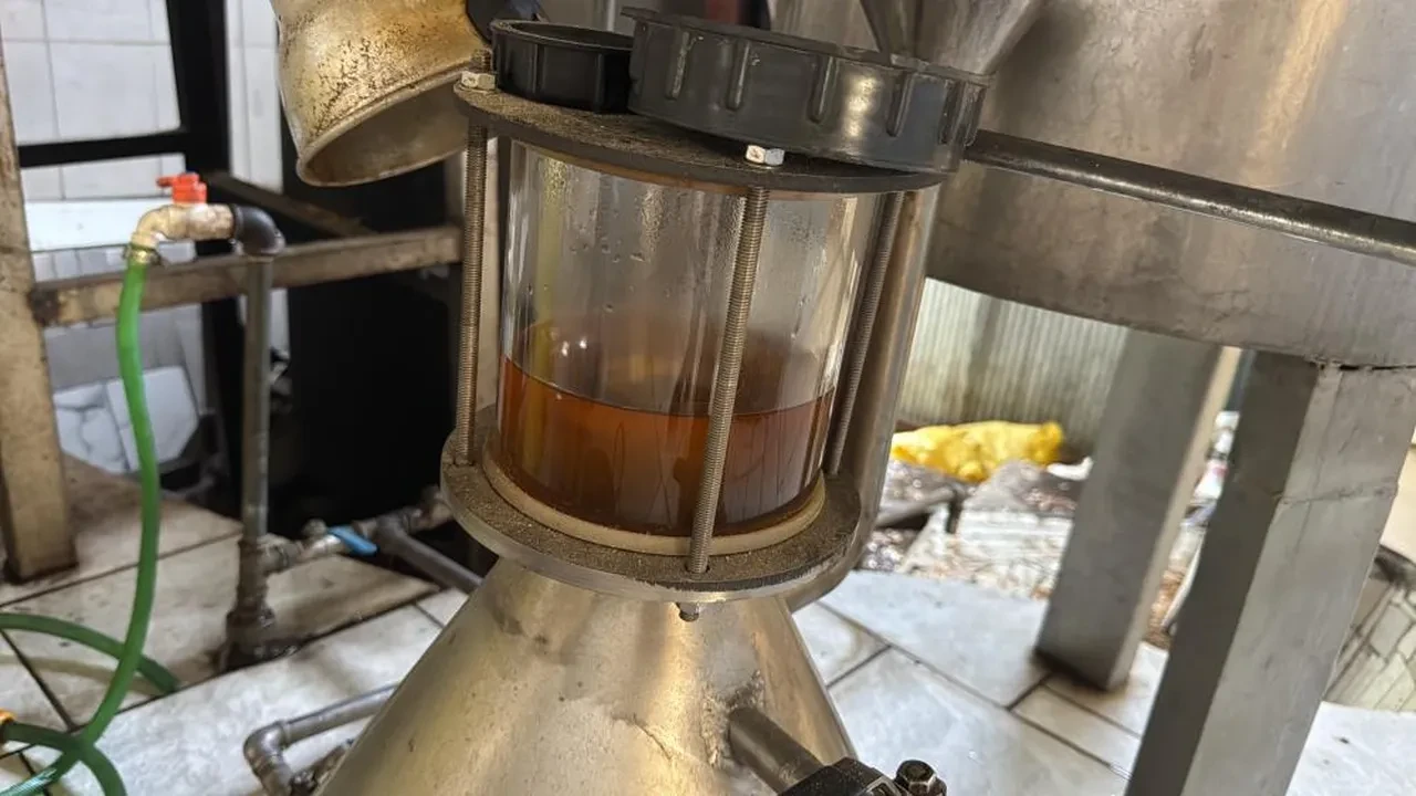 kekik yağı 