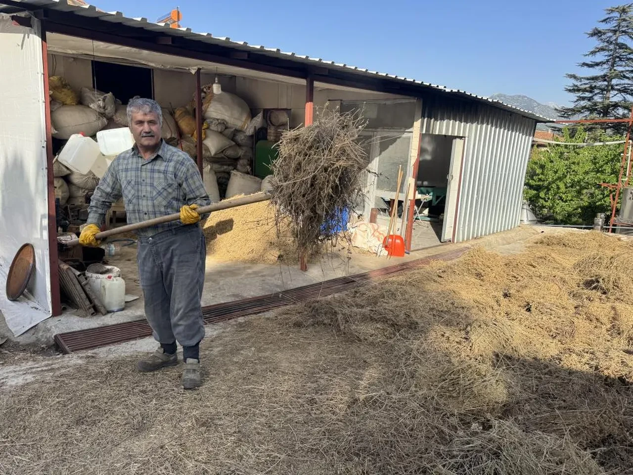 Dört saatte pişirip 81 ile gönderiyor! Kilosu 18 bin TL