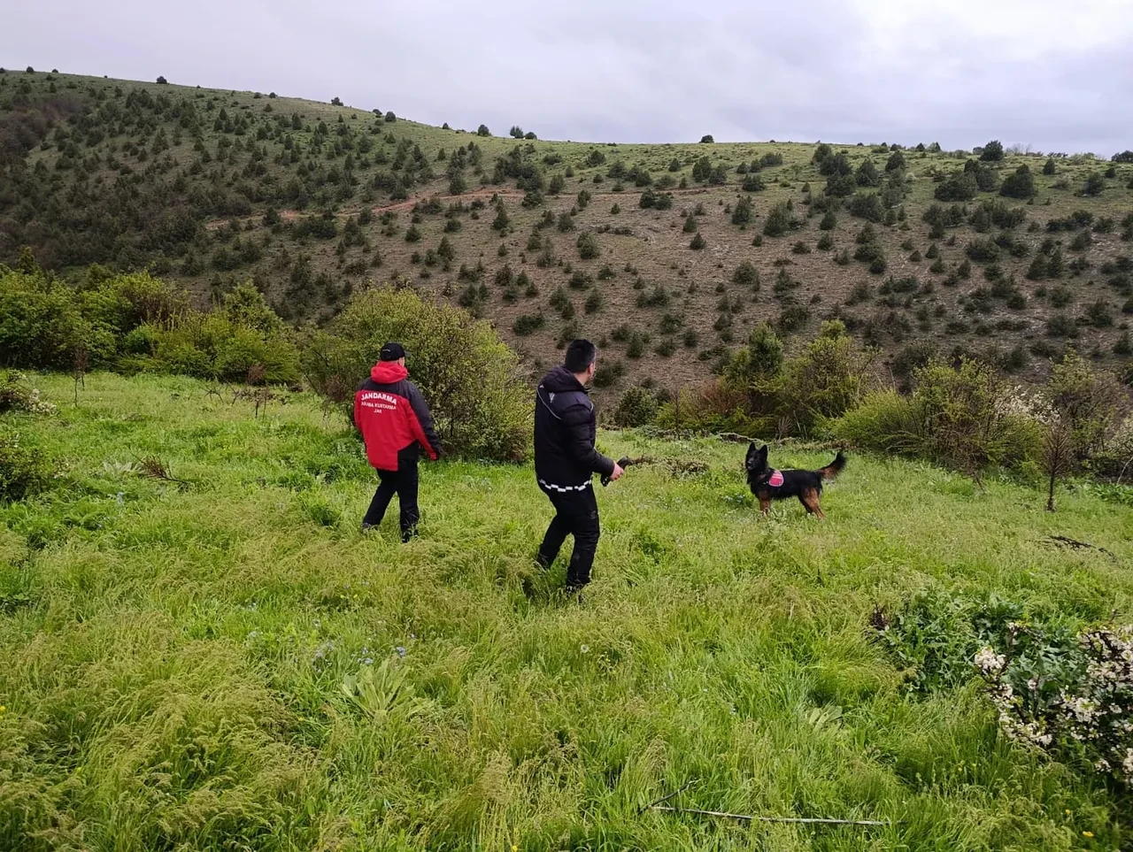 Her yerde aranıyordu! 3 yaşındaki Aybüke'den güzel haber: Yaylada uyurken bulundu