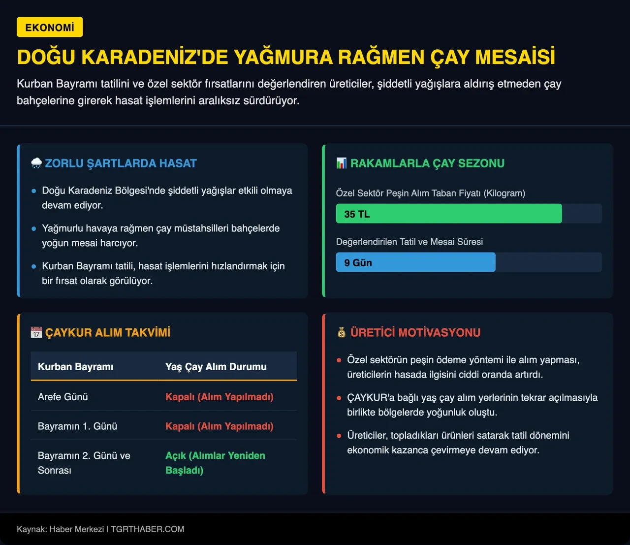 Karadeniz'de çay mesaisi hız kesmiyor: Yağış üreticiyi durdurmadı