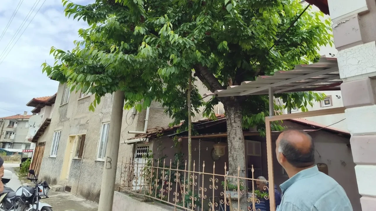 Kiraz toplarken feci şekilde can verdi! Demir korkuluklar yaşlı adamın vücuduna saplandı