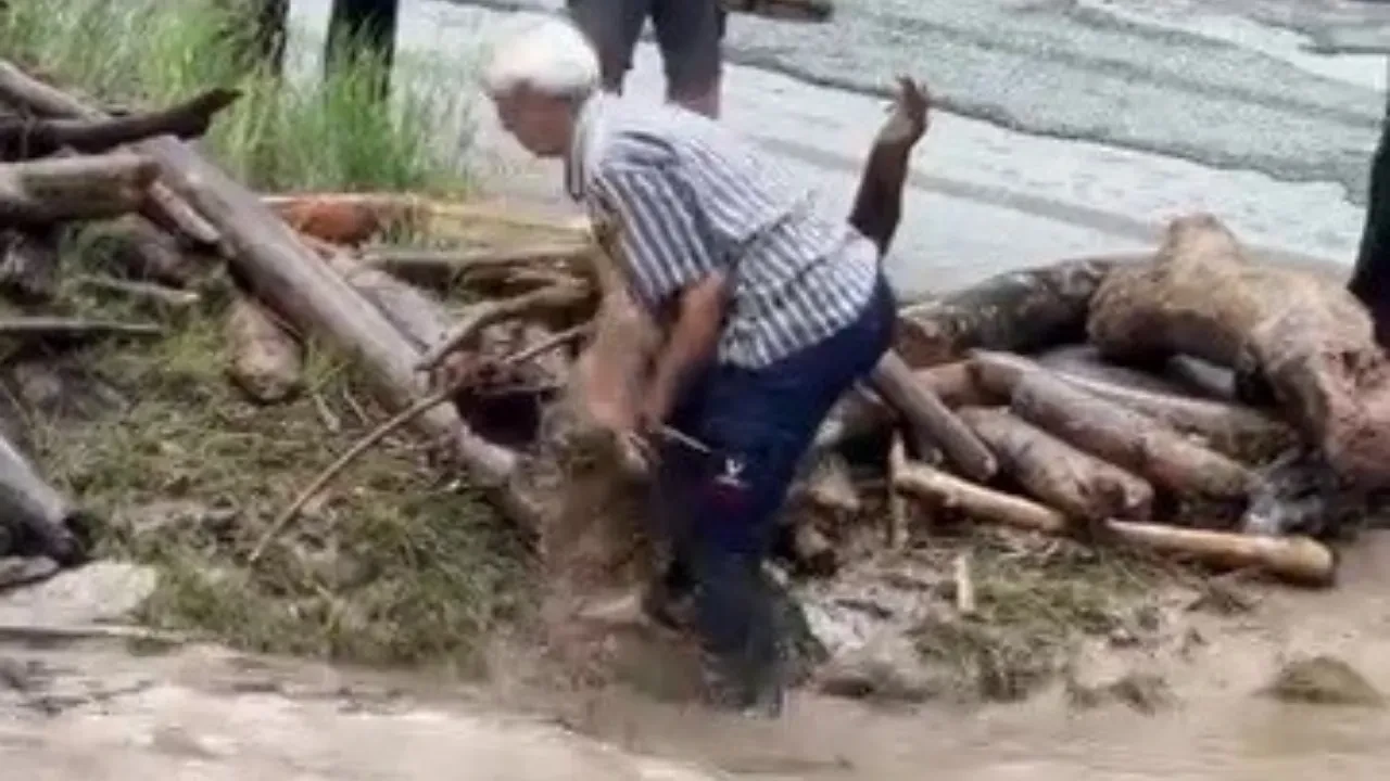 Odun uğruna dereye girdi, canını hiçe saydı! O anlar kamerada