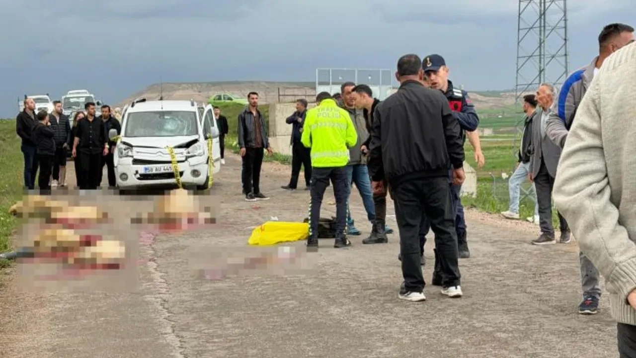 Ticari araç sürüye daldı: Çoban öldü, koyunlar telef oldu