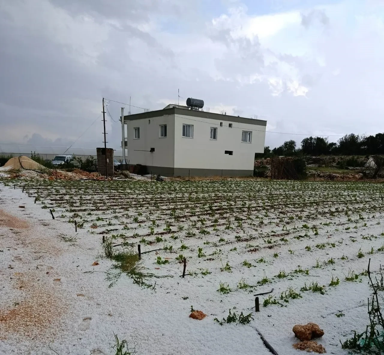 Yağış 20 dakika, zarar yüzbinlerce lira! Mersin’de dolu tarım alanlarını vurdu