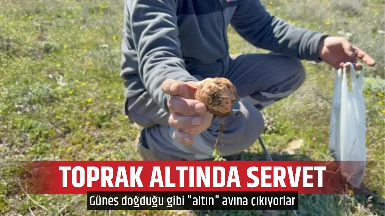 TOPRAK ALTINDA SERVET