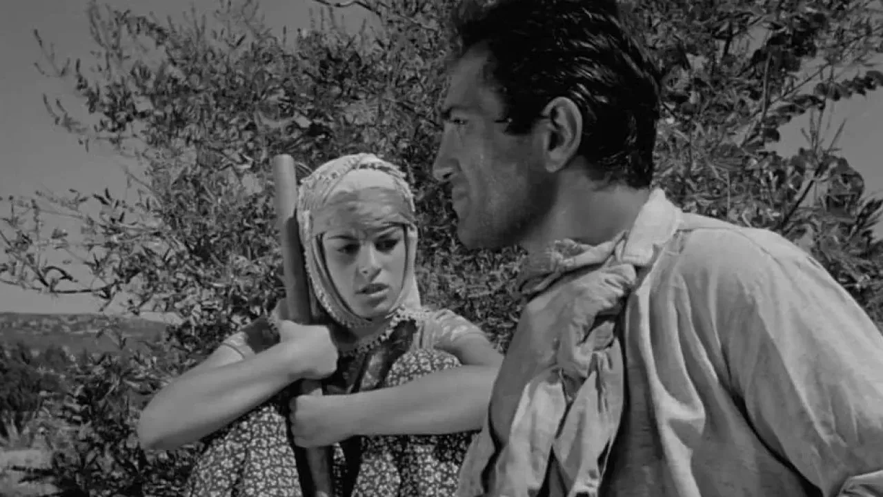 Yeşilçam'ın unutulmaz filmi Susuz Yaz diziye uyarlanıyor! Altın Ayı ödüllü film için hazırlıklar başladı