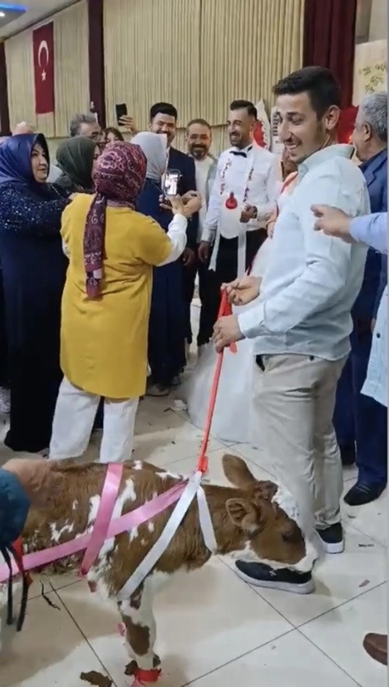 Düğünde şaşırtan hediye! Gelin ve damat gözlerine inanamadı