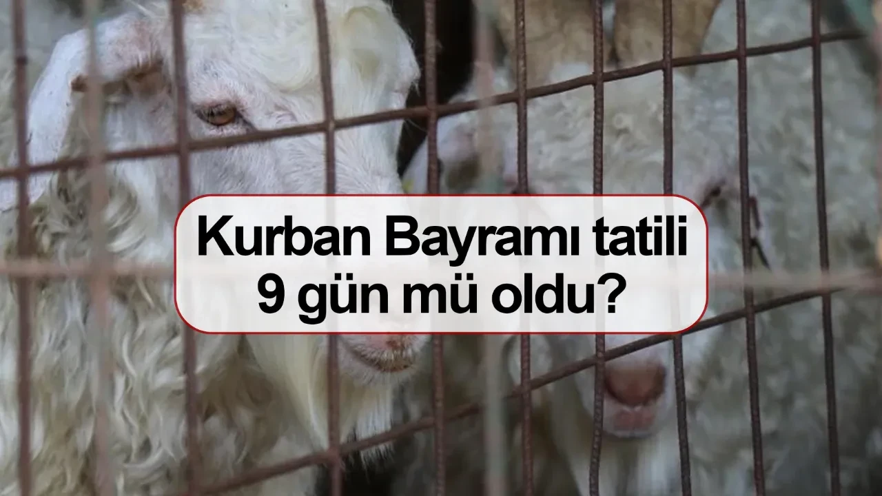 Kurban Bayramı tatili ne zaman hangi gün? Kurban Bayramı 9 gün mü oldu?